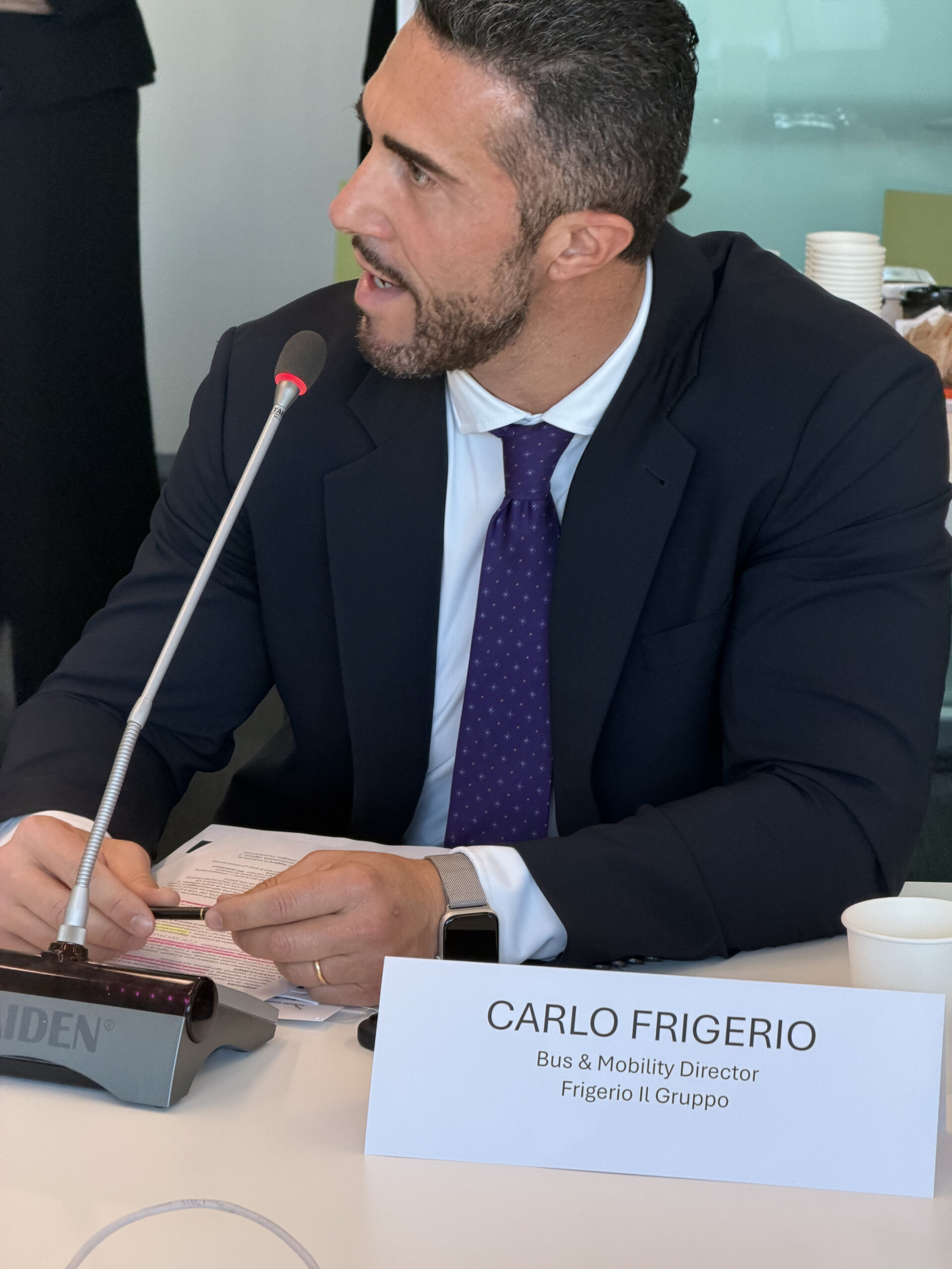 SMA_NMT2_FRIGERIO_FIG_02
